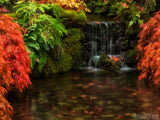 autumn backgrounds paradise creek red leaves waterfall autumn backgrounds paradise creek red leaves waterfall