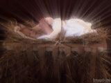christmas carol away in a manger christmas carol away in a manger