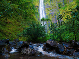 backdrop of waterfall backdrop of waterfall