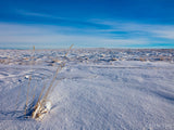 barren land of snow and blue sky barren land of snow and blue sky