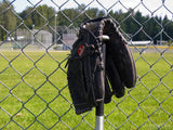 baseball glove on a bat baseball glove on a bat
