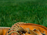 cathers baseball mitt on grass cathers baseball mitt on grass
