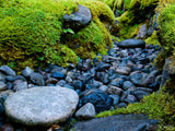 dry creek of bed rocks dry creek of bed rocks