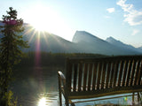 bench by the sunlit water bench by the sunlit water