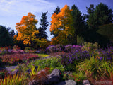 colors of fall background landscape red leaves yellow trees colors of fall background landscape red leaves yellow trees