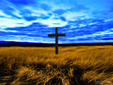 cross in a golden grain field cross in a golden grain field