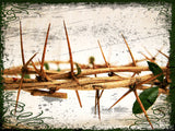 crown of thorns green leaf crown of thorns green leaf