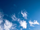 cumulus clouds cumulus clouds