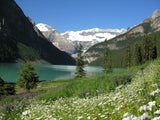 mountains lake and daisy slopes mountains lake and daisy slopes