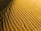 ripples in golden desert sands ripples in golden desert sands