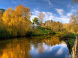 uk slough in fall uk slough in fall