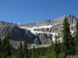 evergreen trees in front of mountain evergreen trees in front of mountain
