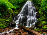 fairy falls oregon columbia river gorge fairy falls oregon columbia river gorge