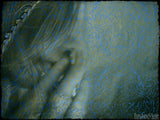 women prays in faithfulness women prays in faithfulness