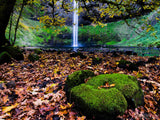 fall maple leaves on ground with waterfall and green moss fall maple leaves on ground with waterfall and green moss