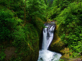 water fall among the trees water fall among the trees