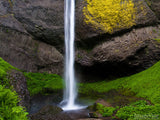 water falls into the mossy pool water falls into the mossy pool