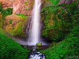 water fall into the rock basin and green bush water fall into the rock basin and green bush