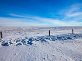 fields of snow and fence fields of snow and fence