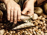parable of fish caught in net parable of fish caught in net
