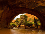 flooded desert arch flooded desert arch