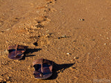 saddles on the beach follow me saddles on the beach follow me