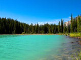 forest at the edge of a blue lake forest at the edge of a blue lake