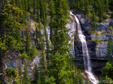 a water fall in a forest a water fall in a forest