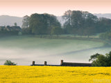 background of golden meadows background of golden meadows
