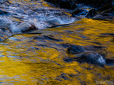 river with golden reflection of fall leaves river with golden reflection of fall leaves
