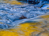 backgrounds golden fall leaves reflected on stream backgrounds golden fall leaves reflected on stream