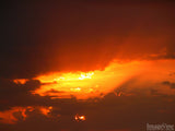 the golden rays of the sun the golden rays of the sun