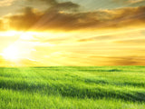 easter sunday service golden sunrise background easter sunday service golden sunrise background