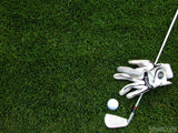 grass golf club glove gone golfing grass golf club glove gone golfing