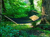 hammock in the garden of trees hammock in the garden of trees