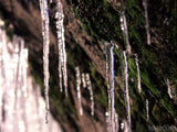 icicles hang from rock icicles hang from rock