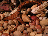 harvest of plenty nuts walnuts harvest of plenty nuts walnuts