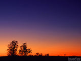 God's Creation - Bundle God's Creation - Bundle