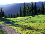 God's Creation - Bundle God's Creation - Bundle