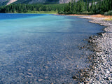 God's Creation - Bundle God's Creation - Bundle