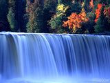 God's Creation - Bundle God's Creation - Bundle