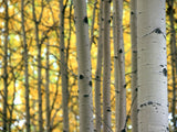 God's Creation - Bundle God's Creation - Bundle