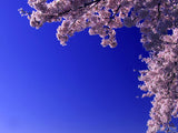 God's Creation - Bundle God's Creation - Bundle