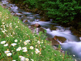 God's Creation - Bundle God's Creation - Bundle