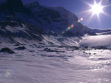 God's Creation - Bundle God's Creation - Bundle
