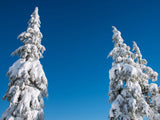 Four Seasons - Bundle Four Seasons - Bundle