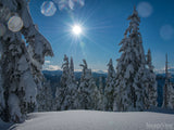 Four Seasons - Bundle Four Seasons - Bundle