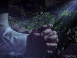 jesus prays in the garden  jesus prays in the garden