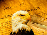 declaration of independence background with impression of eagle declaration of independence background with impression of eagle