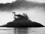 a small ocean island surrounded by fog a small ocean island surrounded by fog